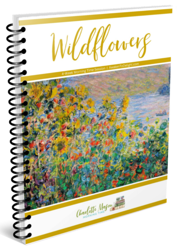 homeschool curriculum