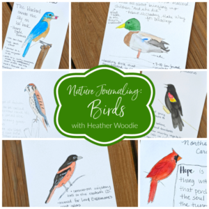 Nature Journaling Birds with Heather Woodie