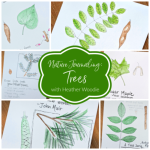 Nature Journaling Trees with Heather Woodie
