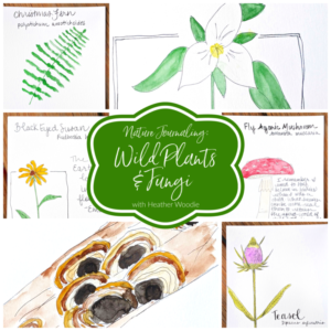 Nature Journaling Wild Plants & Fungi with Heather Woodie