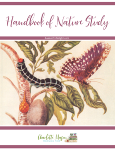 A Handbook of Nature Study