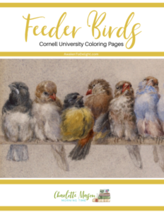 Feeder Birds