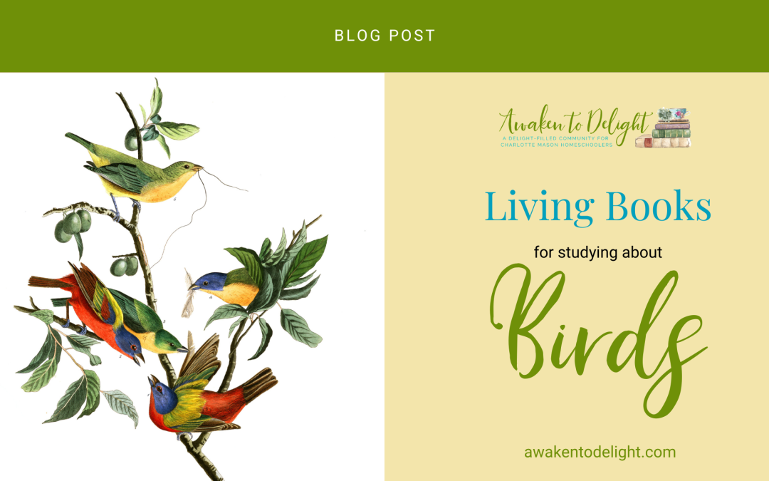 Learn About Beautiful Birds with these Living Books