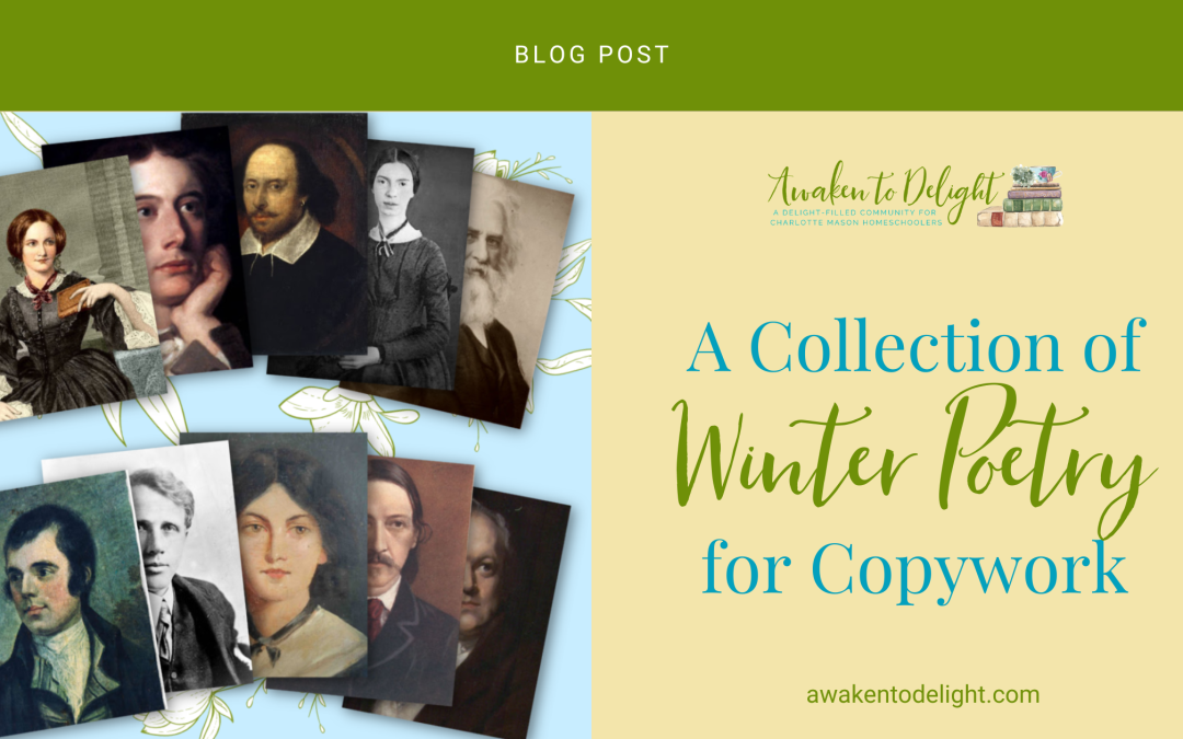 Beautiful Winter Poems by Famous Poets
