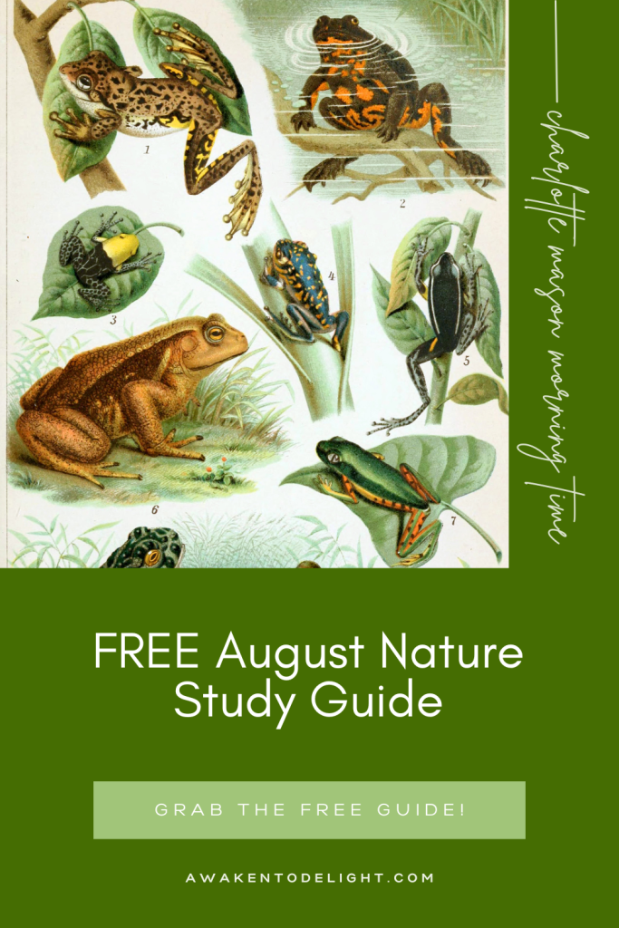 Free August Nature Study Guide