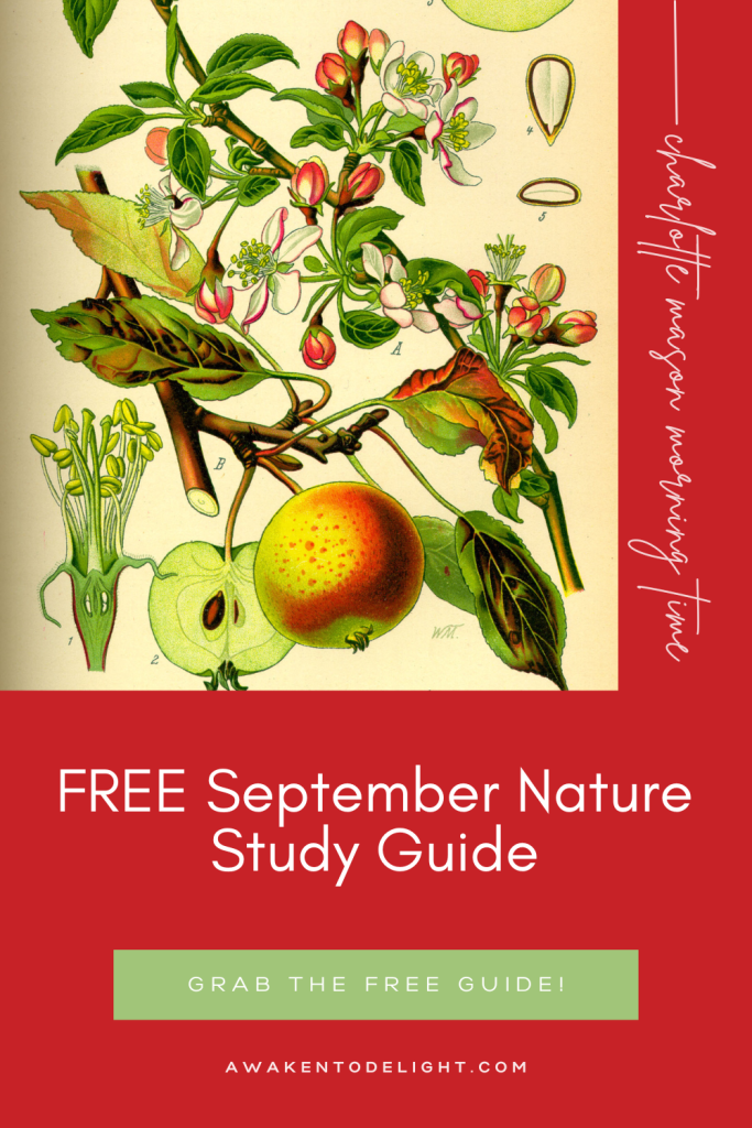 Free September nature study guide