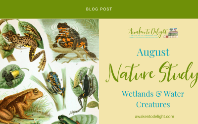 Free August Nature Study: Activities & Prompts for Your Homeschool