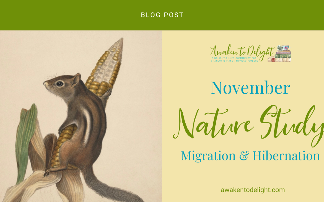 Free November Nature Study: Activities & Prompts for Your Homeschool