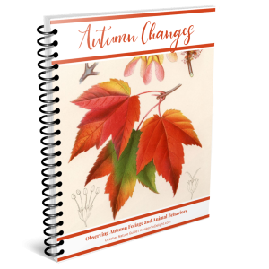 October Nature Guide