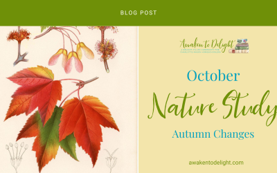 Free October Nature Study: Activities & Prompts for Your Homeschool