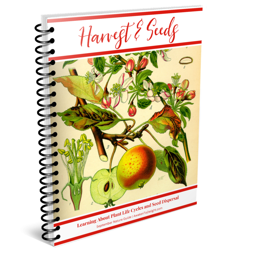 September Nature Study Guide