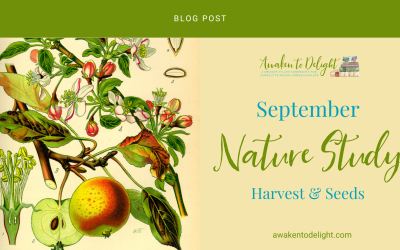 Free September Nature Study: Activities & Prompts for Your Homeschool