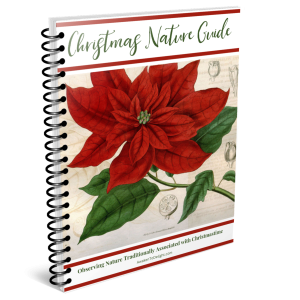 Christmas Nature Guide