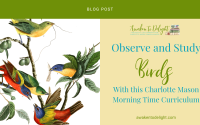 Soaring into Nature Study: A Bird-Themed Study for Homeschoolers