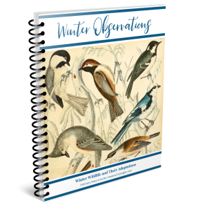 February Nature Guide