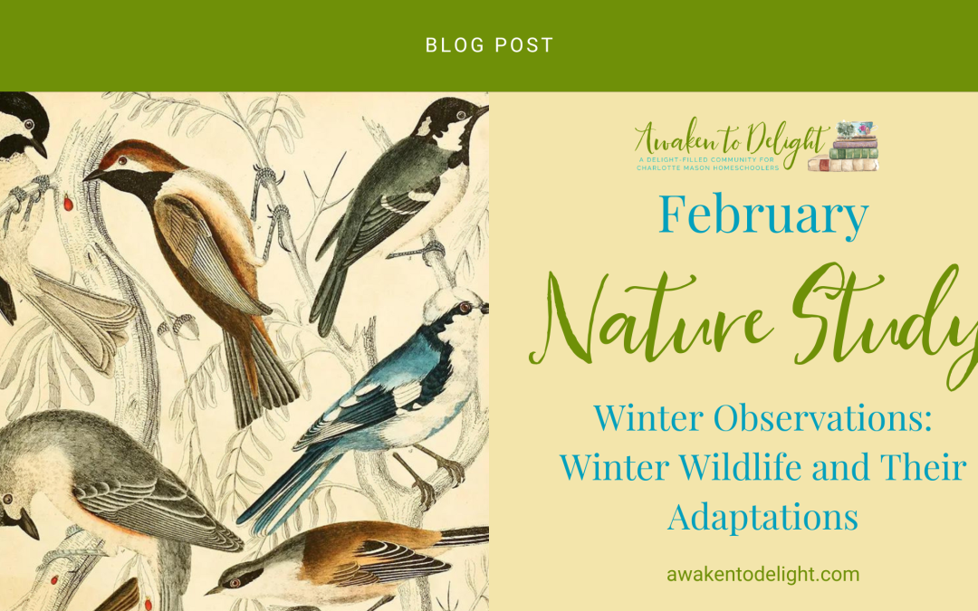 Free February Nature Study – Activities and Prompts for Your Homeschool