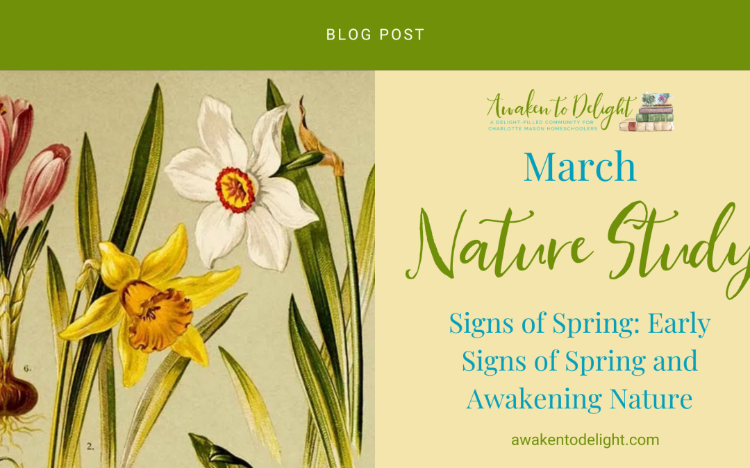 Welcome Spring with This Free March Nature Study Guide!