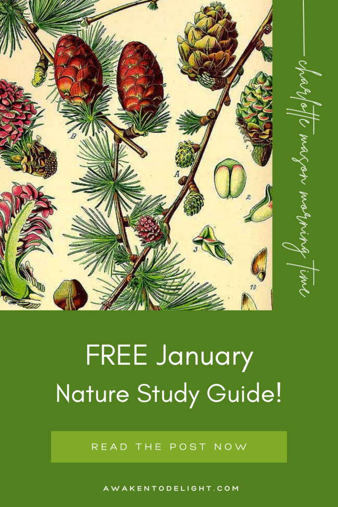 free nature study