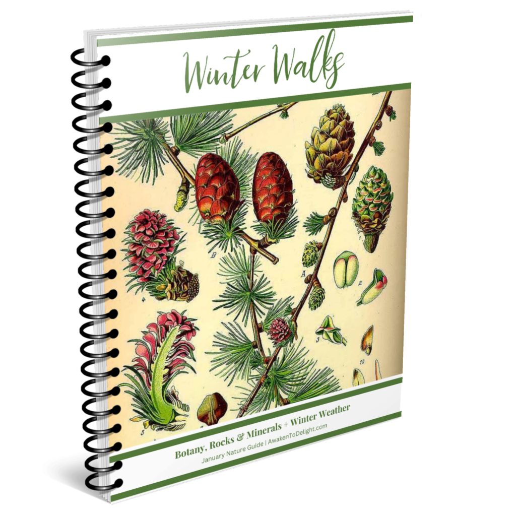 january nature study