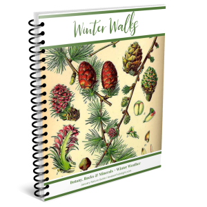 January Nature Guide