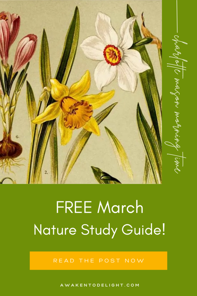 spring nature study