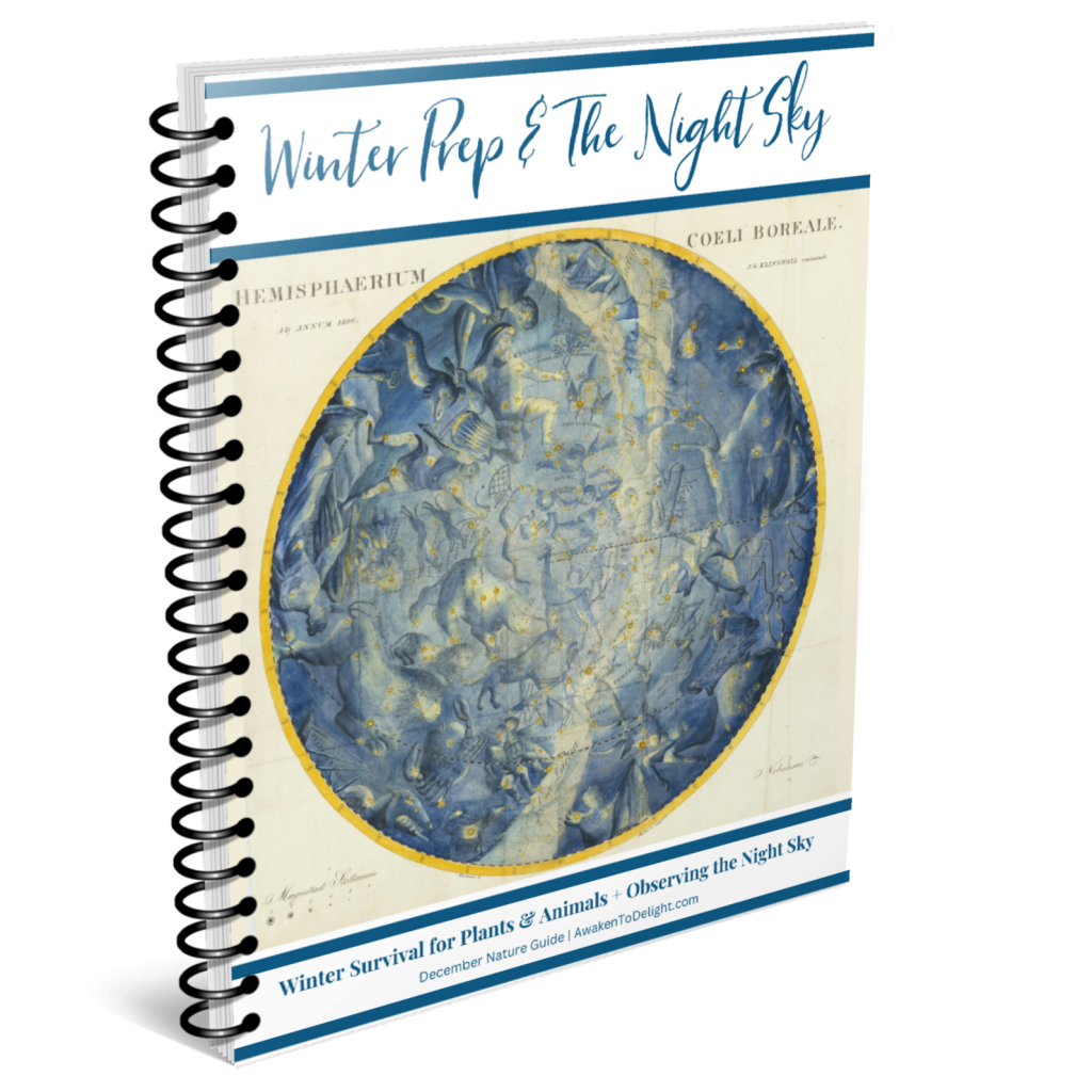 free homeschool nature study guide
