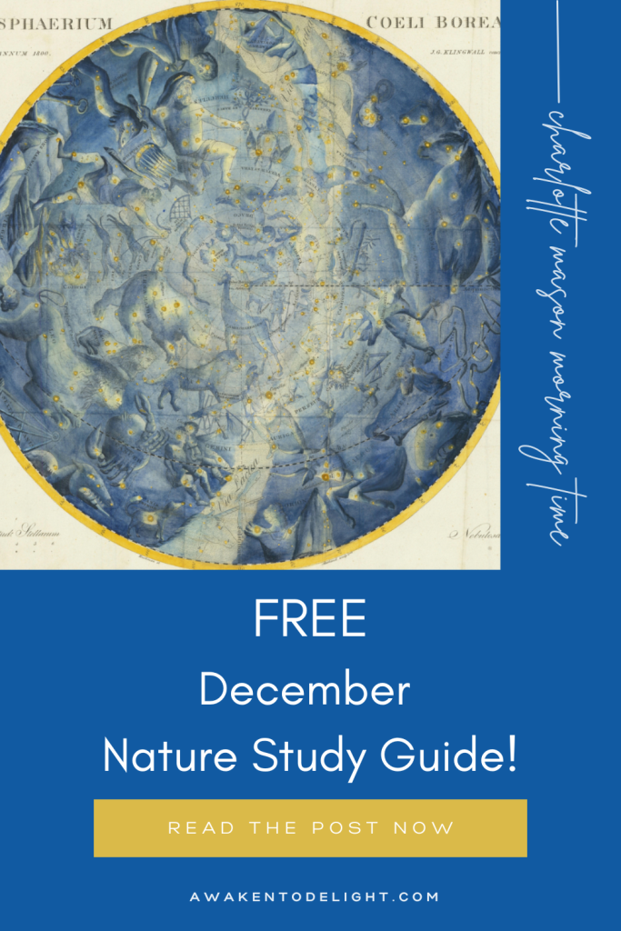 free December nature study guide