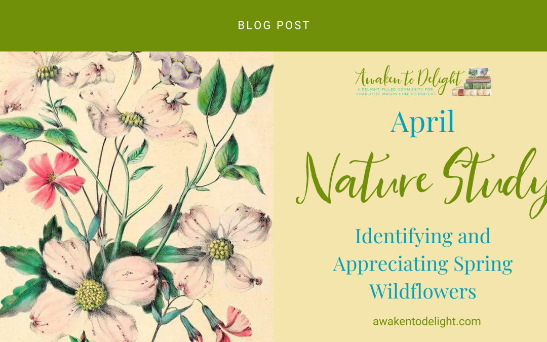Discover the Beauty of Spring Wildflowers: A Free April Nature Study Guide for Homeschoolers