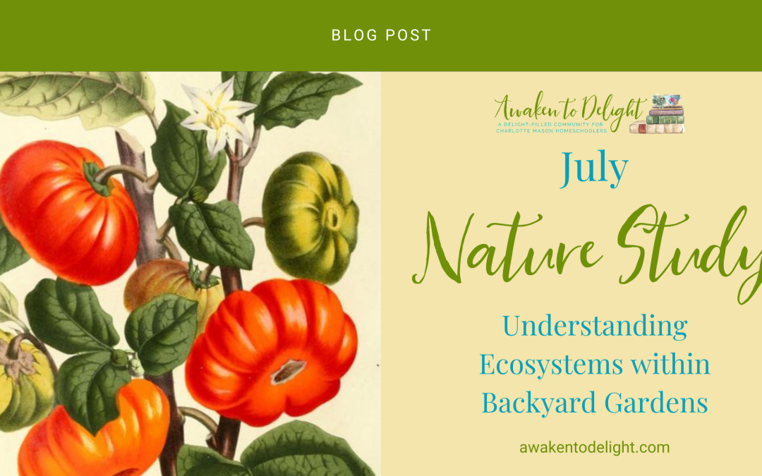 Learn How to Grow a Homeschool Garden: A Free Nature Study Guide for July