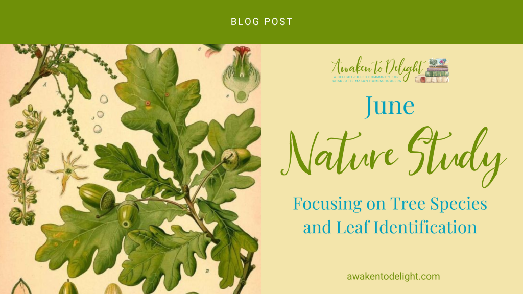 nature study