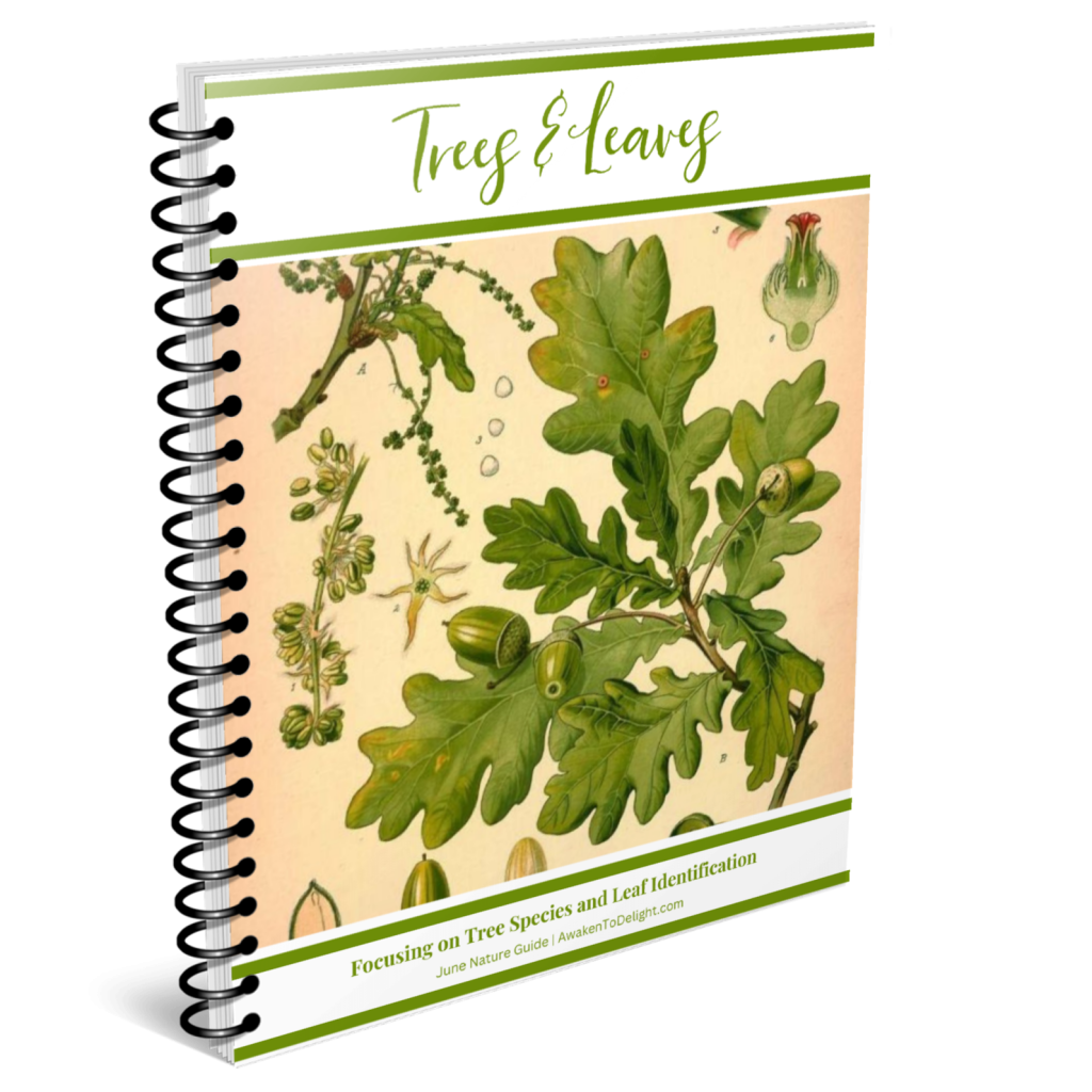 free nature study