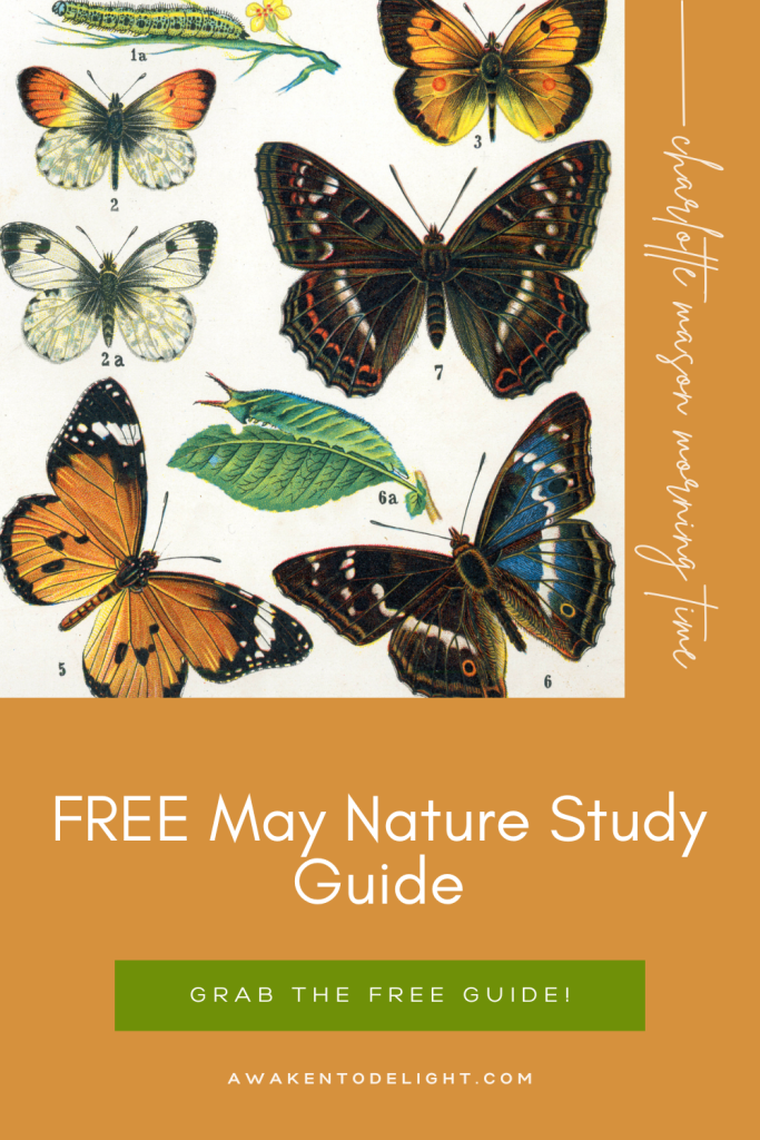 nature study