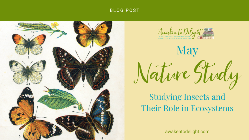 nature study