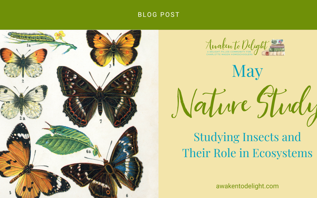 Insects and Pollinators: A Fun and Free Homeschool Study for May