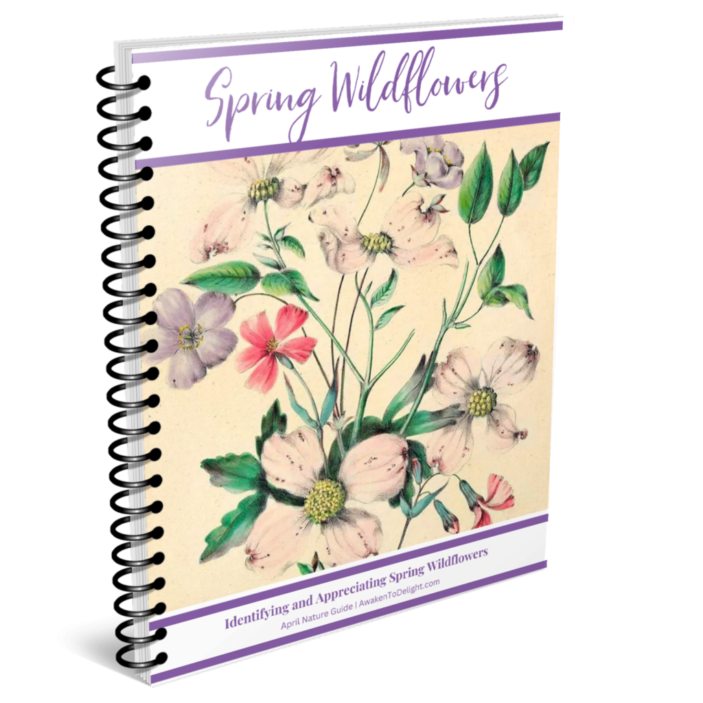 spring nature study