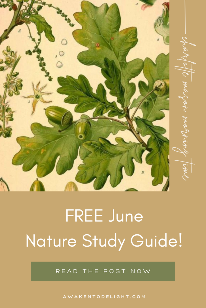 nature study