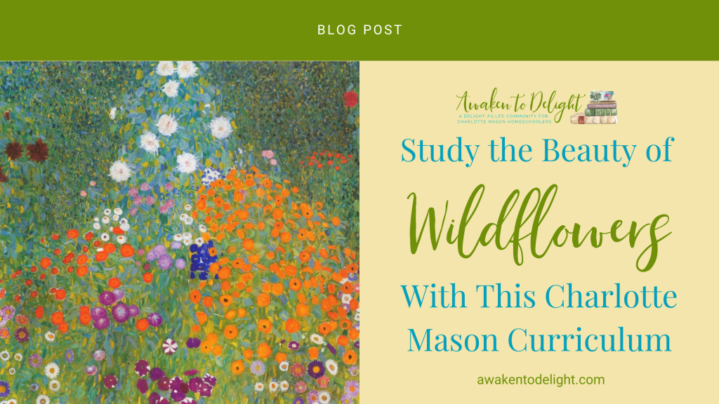 wildflowers