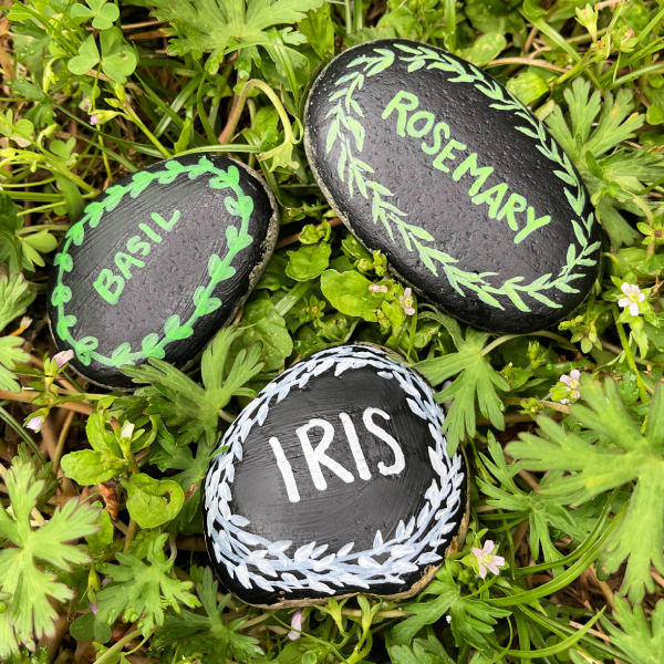 Chalkboard-style painted rock plant markers