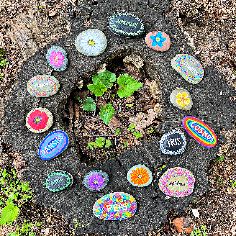 Finished plant markers on tree stump