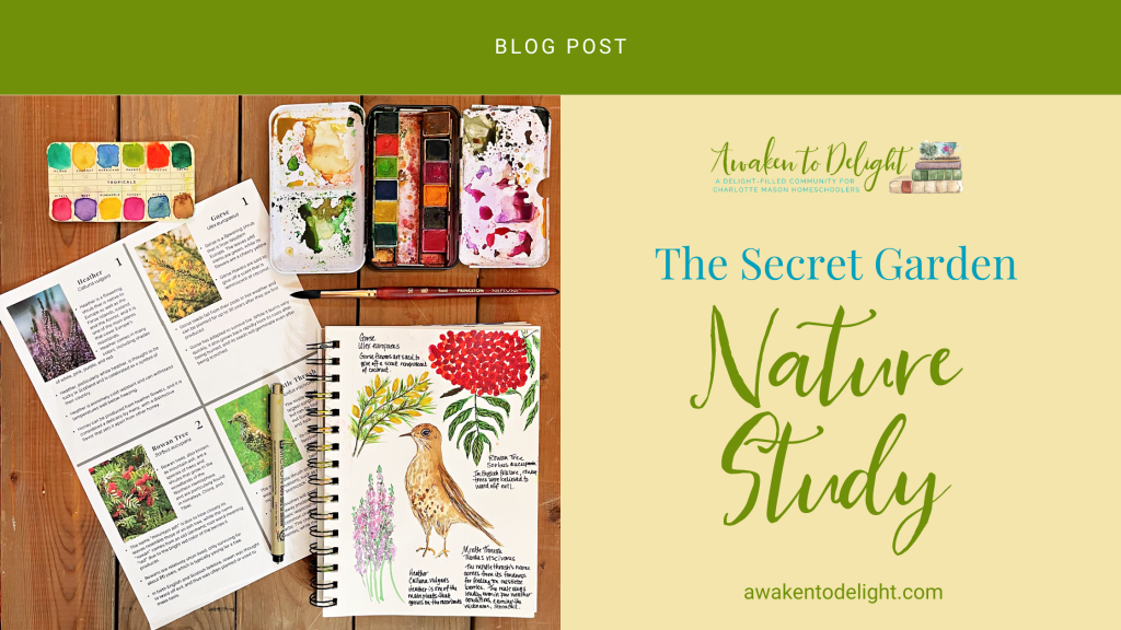 Secret Garden nature study of the Yorkshire Moors