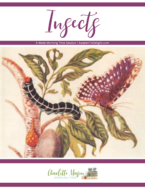 Charlie Insect Matriculation Insects - Awaken to Delight | Charlotte Mason Curriculum
