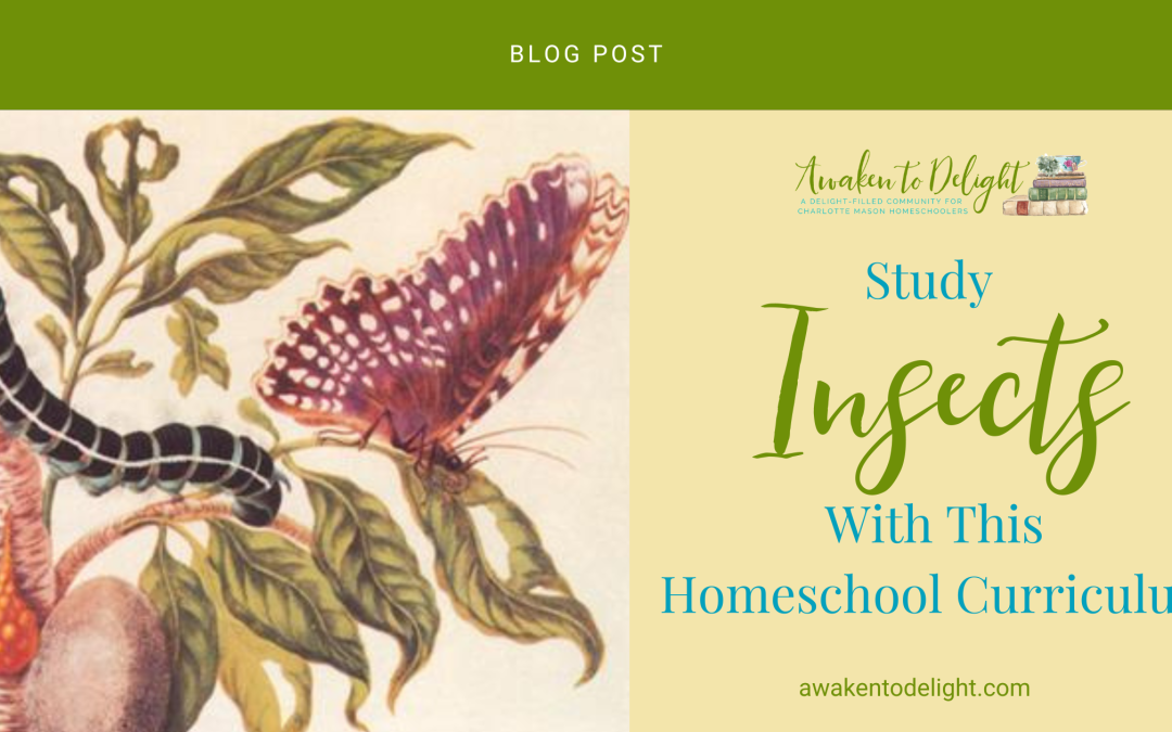 Teach Your Kids About Insects with This Beautiful Nature Curriculum
