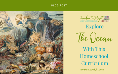 Ocean Life for Homeschoolers: A Charlotte Mason-Style Sea Study