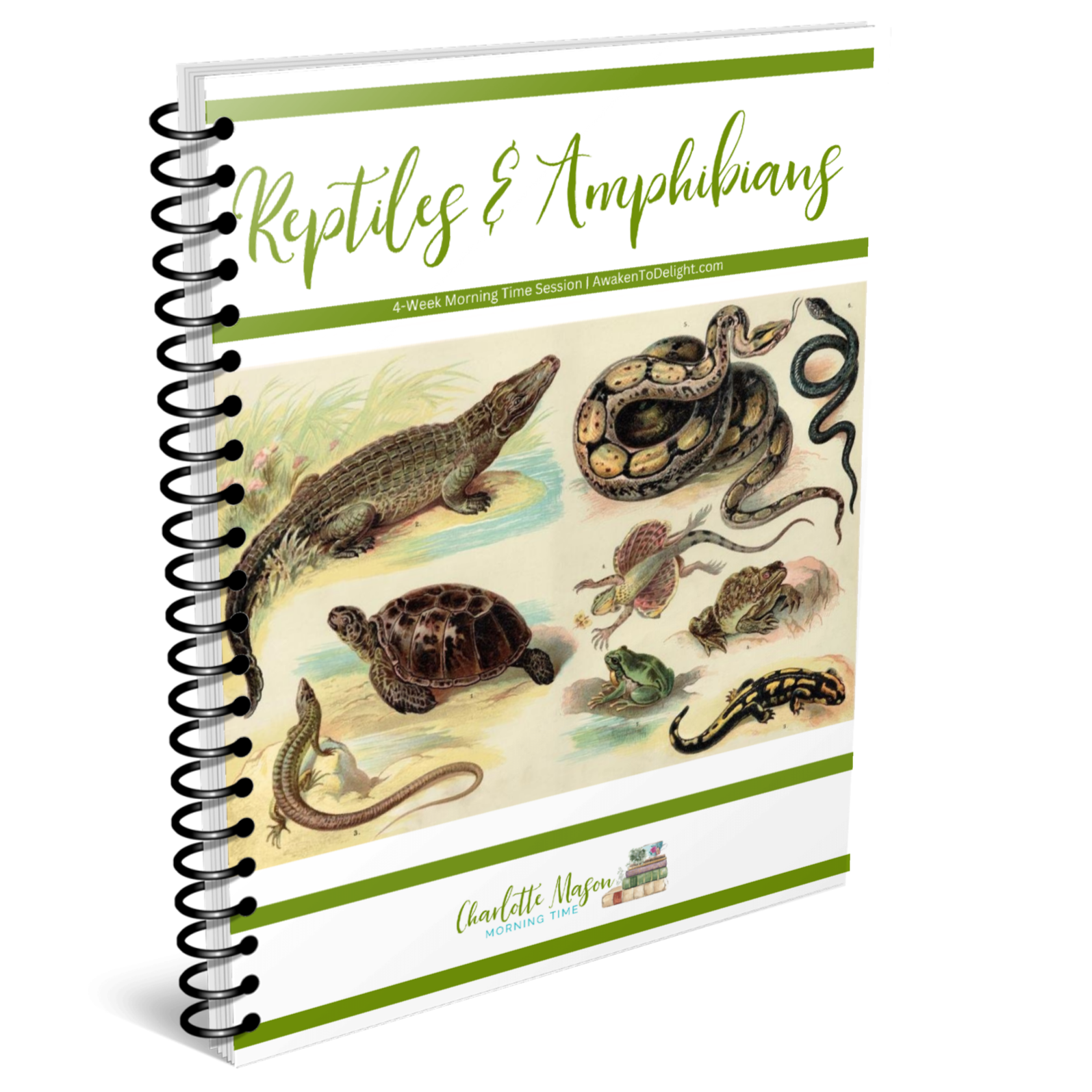Reptiles and Amphibians Morning Time Session