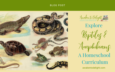 A Homeschool Adventure Through the World of Reptiles and Amphibians