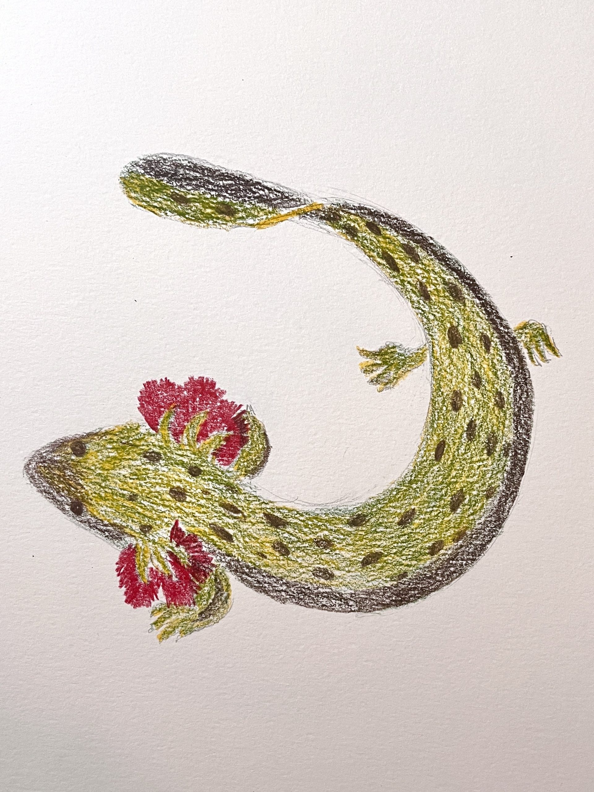 Reptiles and Amphibians Morning Time Session - Image 12